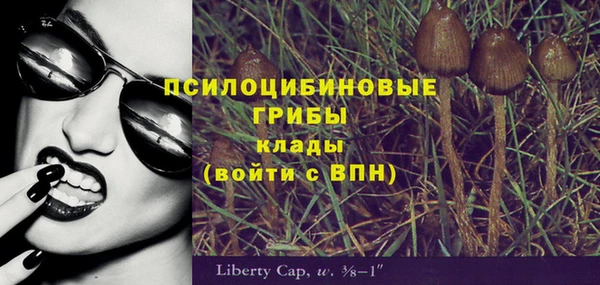 шишки Алексеевка