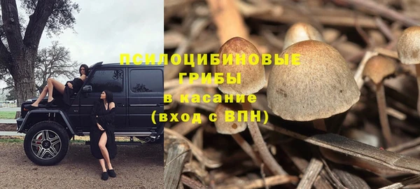 МДПВ Алзамай