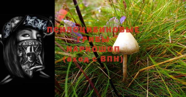 mdpv Алексин