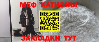 индика Гатчина