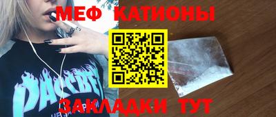 индика Гатчина