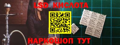 индика Гатчина