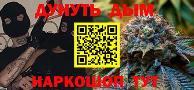 индика Гатчина