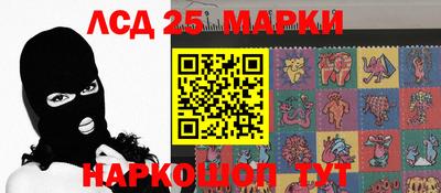 индика Гатчина