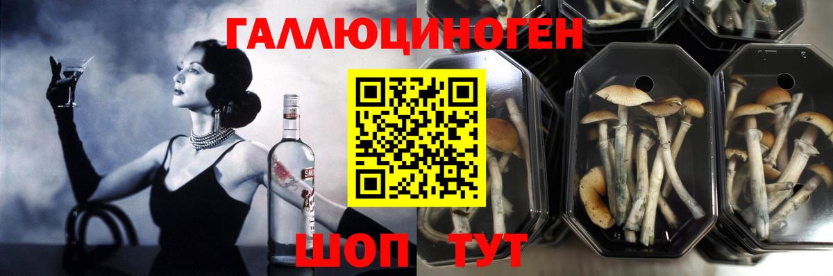 Брянск  Псилоцибиновые грибы Magic Shrooms  купить наркоту  Вход с VPN 